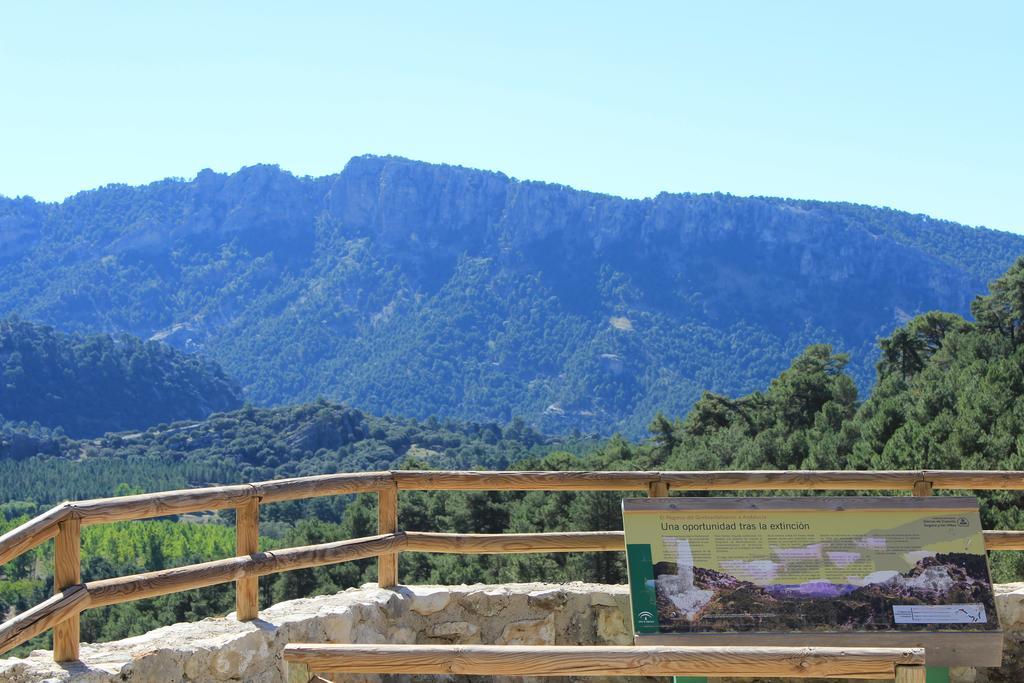 Hotel Balneario Parque De Cazorla Arroyo Frio Kültér fotó